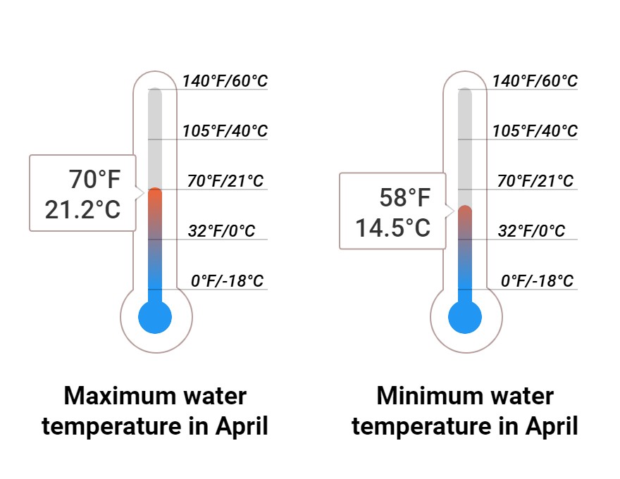 Average Sea temperature